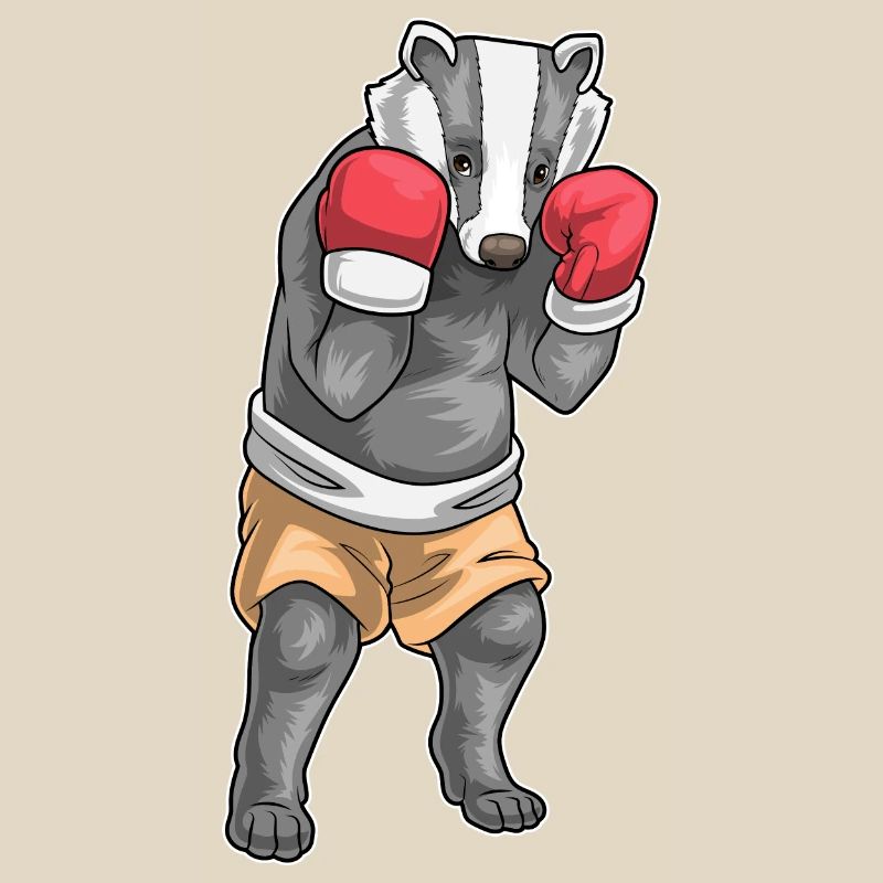 Badger Boxer Gants de boxe Boxe