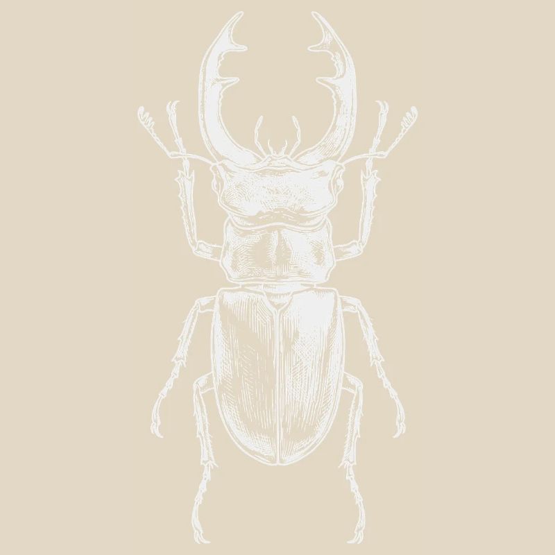 Conception de gros insectes