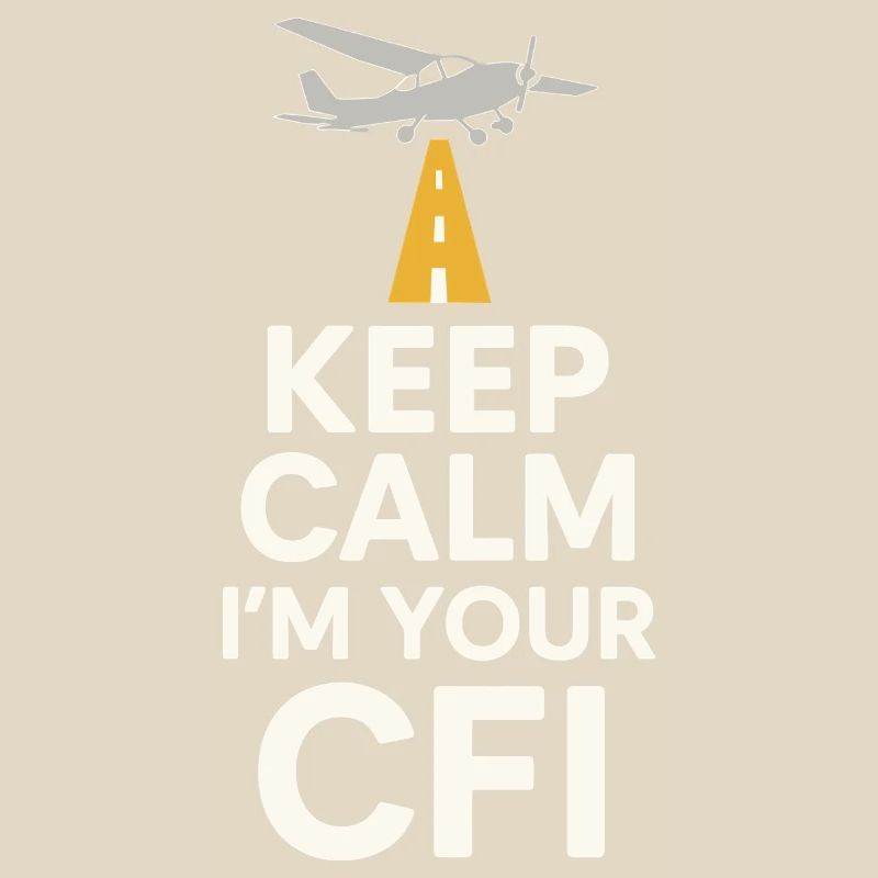 Flight Instructor Cfi Pilot Aviation Instructor