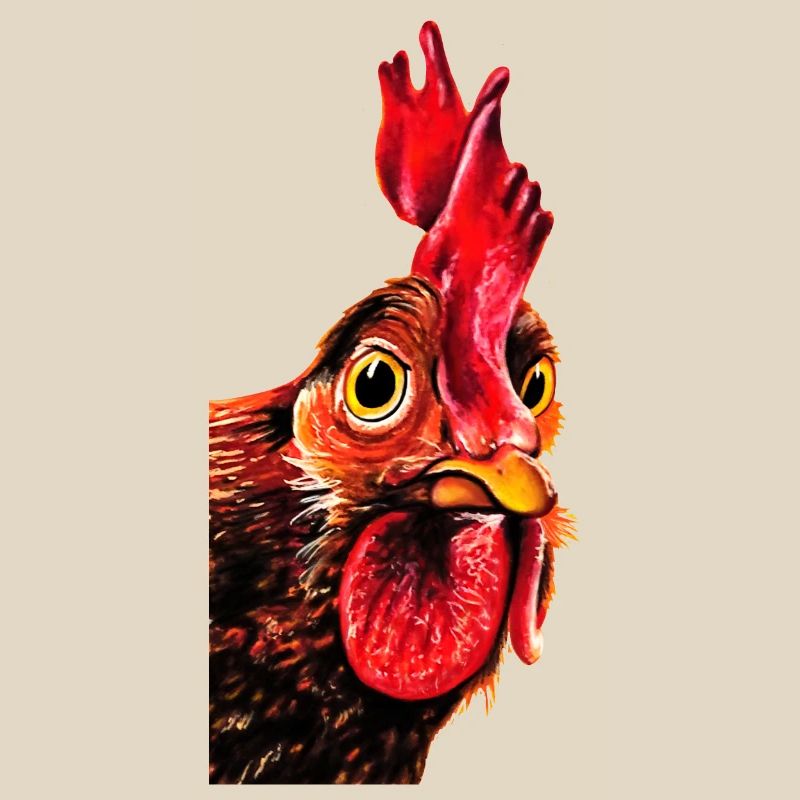 Rooster Herbert