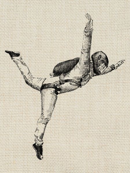 free fly