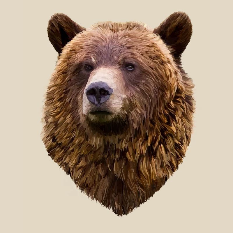 Bär