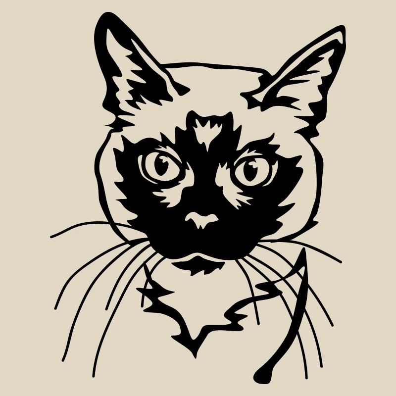 Chat siamois