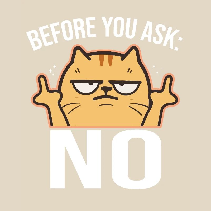 Chat effronté avec le majeur NON