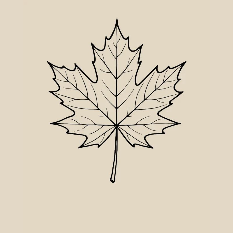 Maple Leaf Line Design