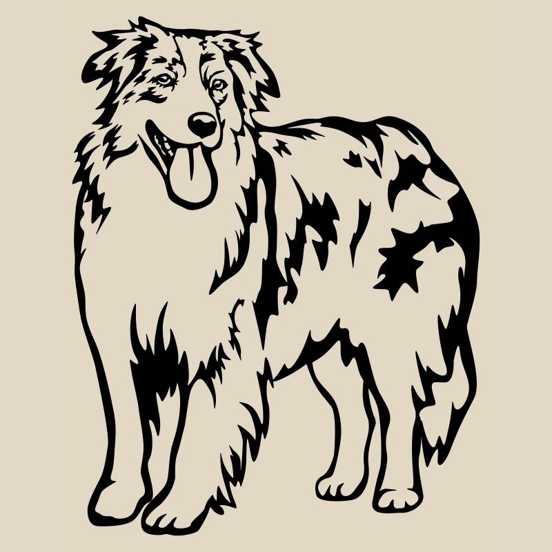 Australian Shepherd