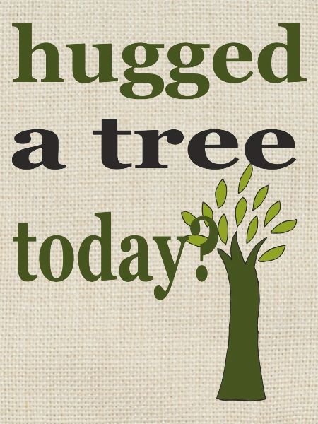 hugged a tree