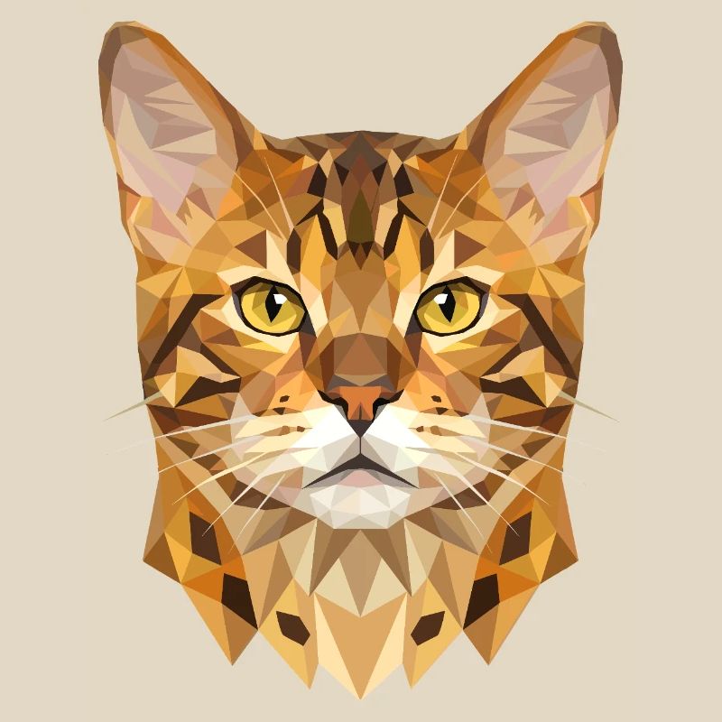 Chat léopard du Bengale, chat léopard, léopardette, chats du Bengale,