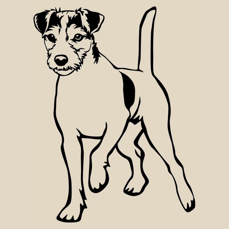 Parson Russell Terrier