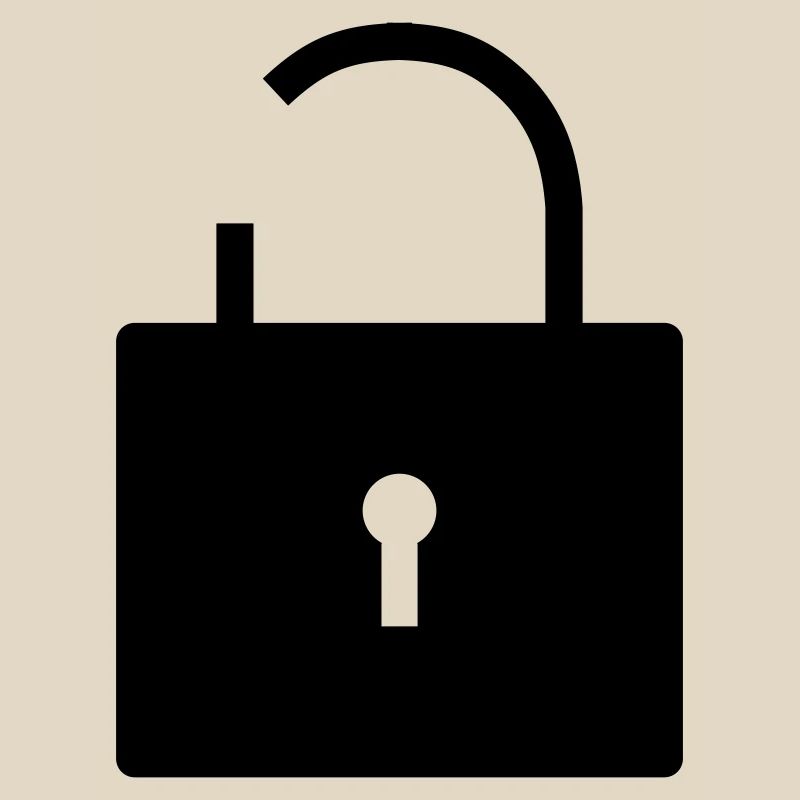 No security no security open lock lock