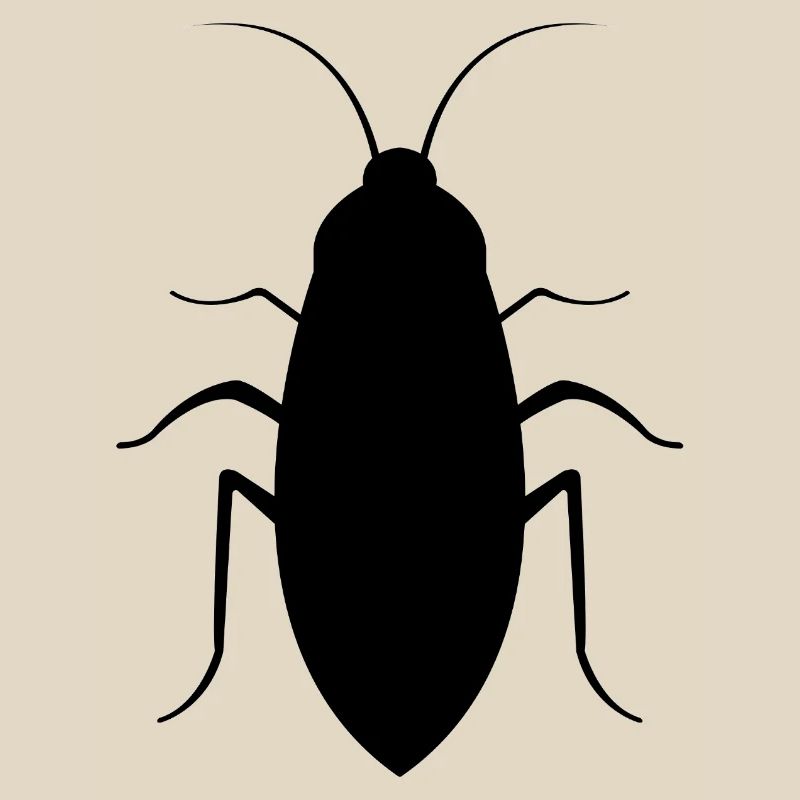 Cockroach