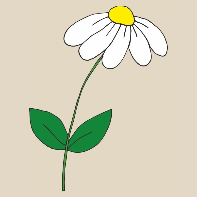 süsses Gänseblümchen