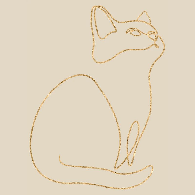 Chaton Chat Chat