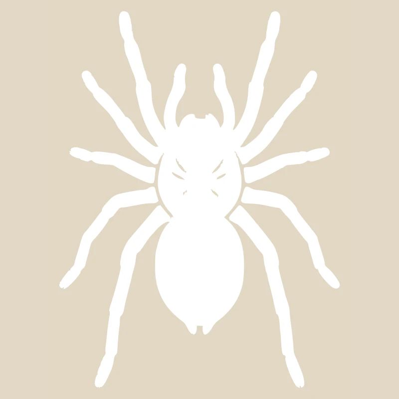 Tarantula Tarantula Realistic Vector