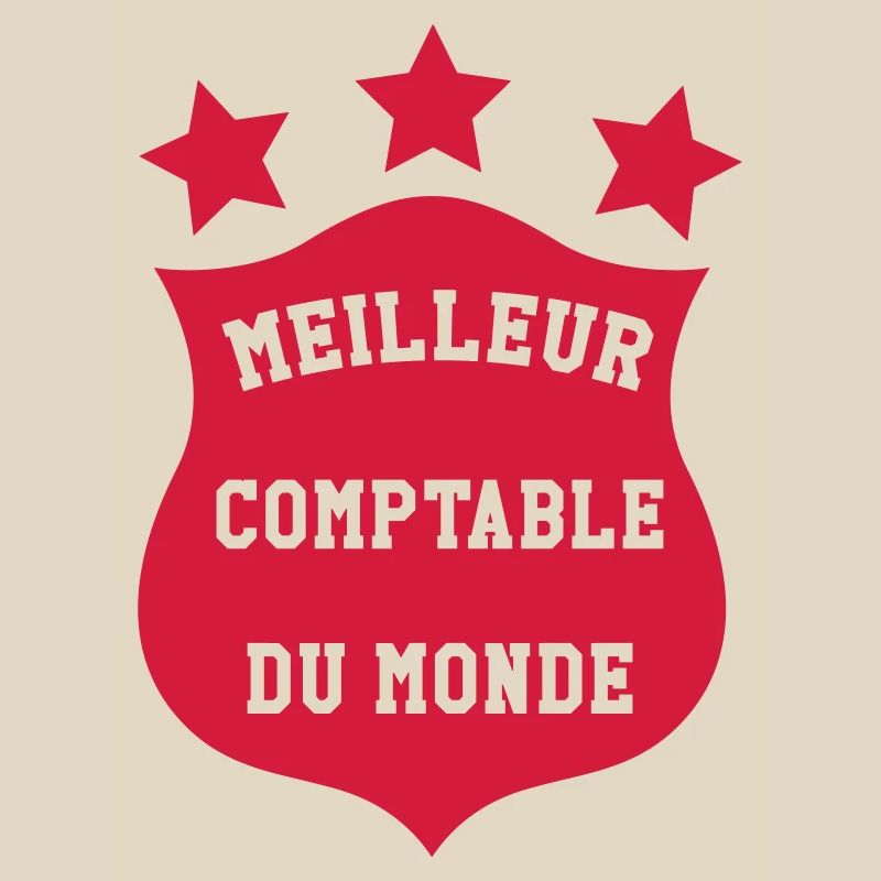 Accountant / Accounting / Comptable / Comptabilité