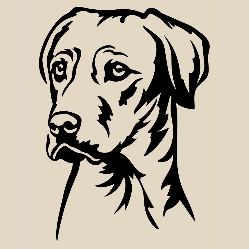 Rhodesian Ridgeback Head