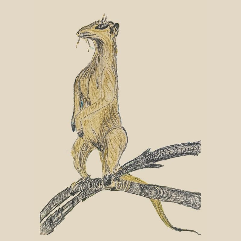 Fantasy birds on branches
