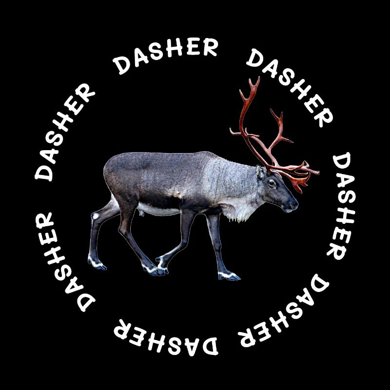 DASHER