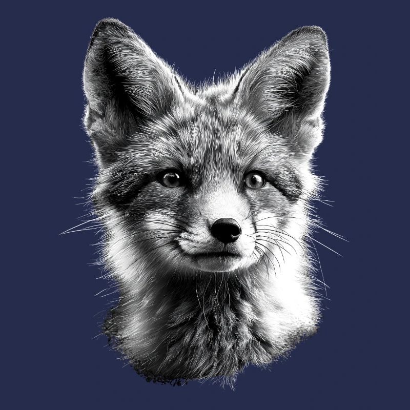 Polarfuchs Schneefuchs Eisfuchs Süßer Weißer Fuchs