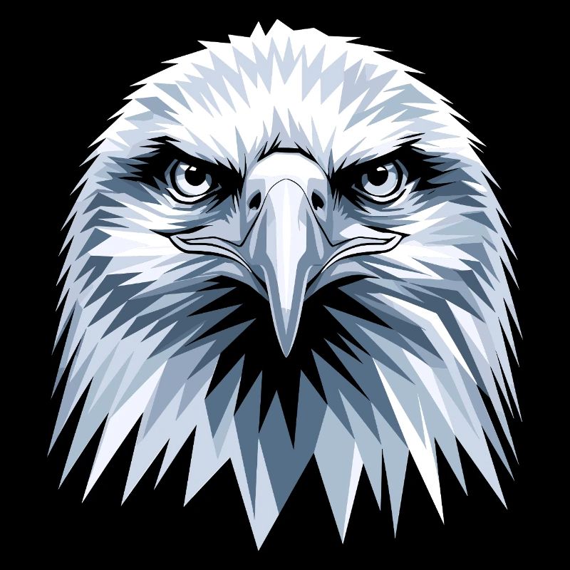 Eagle Bald Eagle Golden Eagle White-tailed Eagle