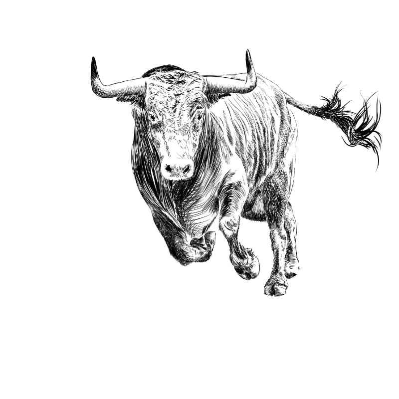 Bull