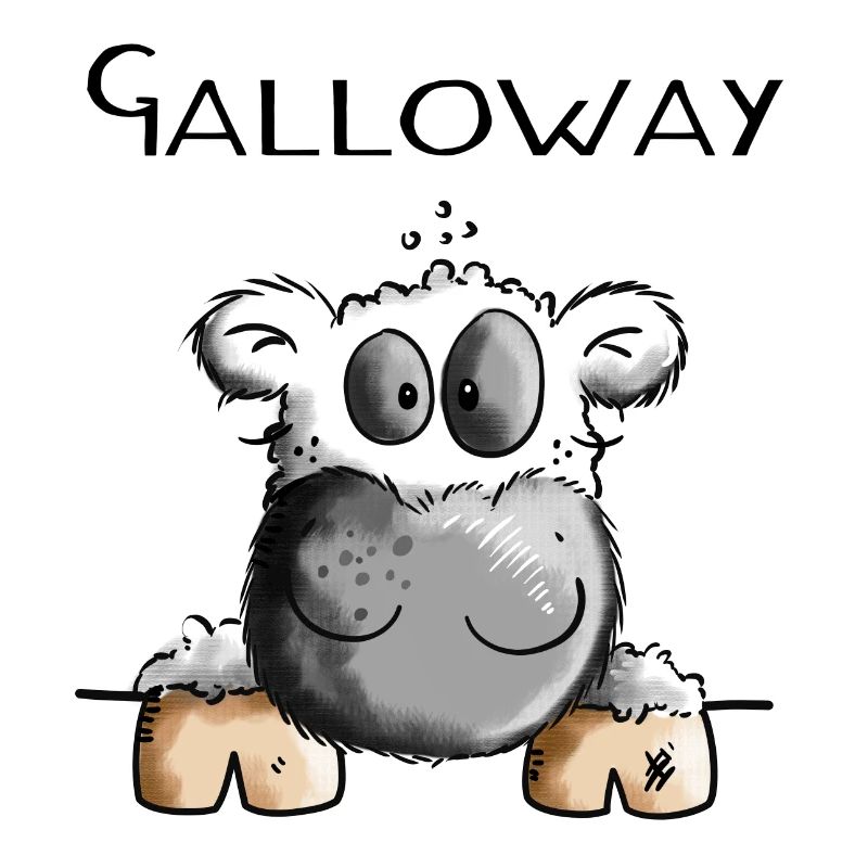 Galloway Cow - Cows - Cattle - Gift