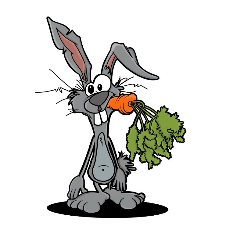 Funny Rabbit Gift