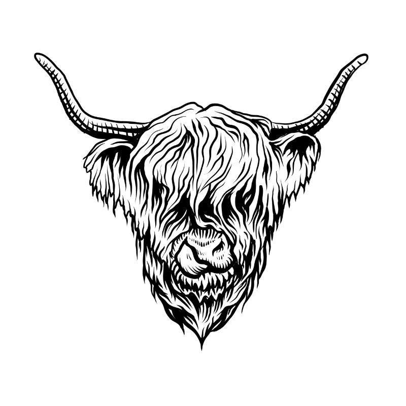 Yak beef highland cattle