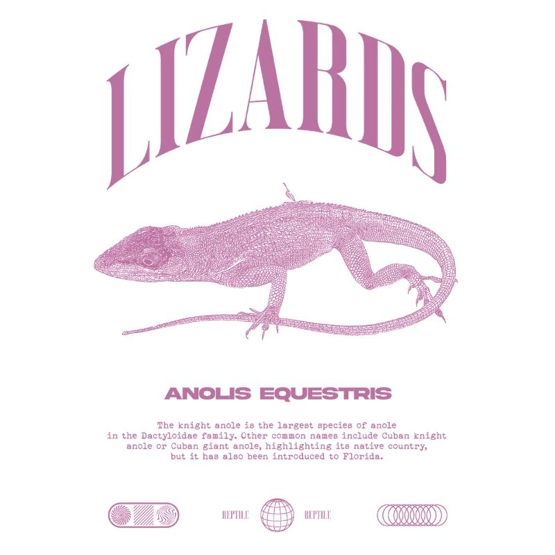 Kubanischer Ritter Anole Reptilienhalter Eidechse
