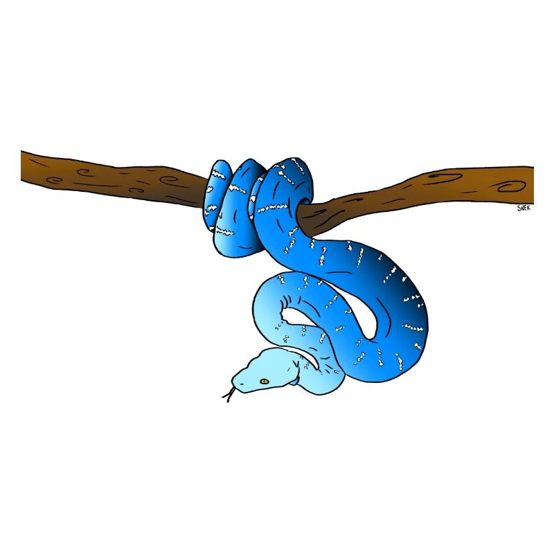 Serpent Bleu