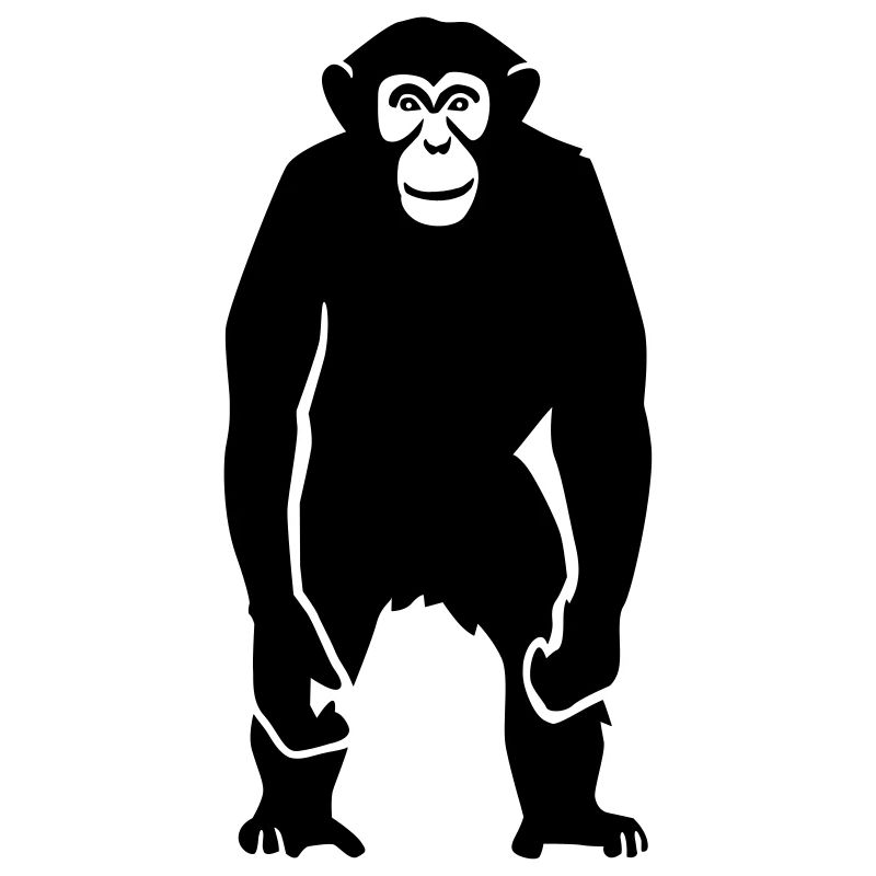 Affe