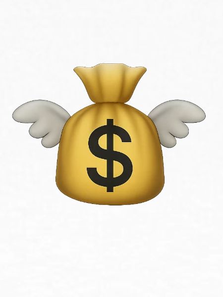 Geld fliege