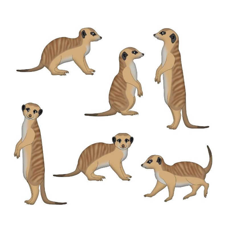 Sélection de Suricate