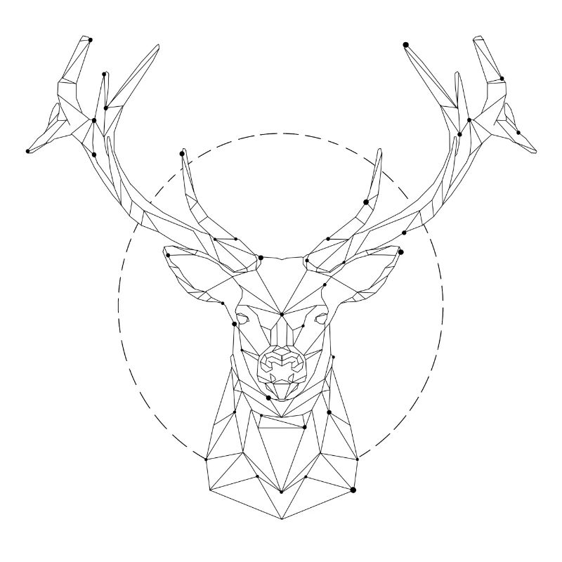 Deer constellation