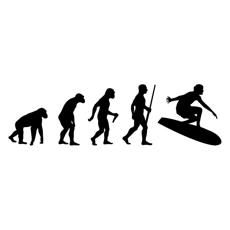 Surf Evolution