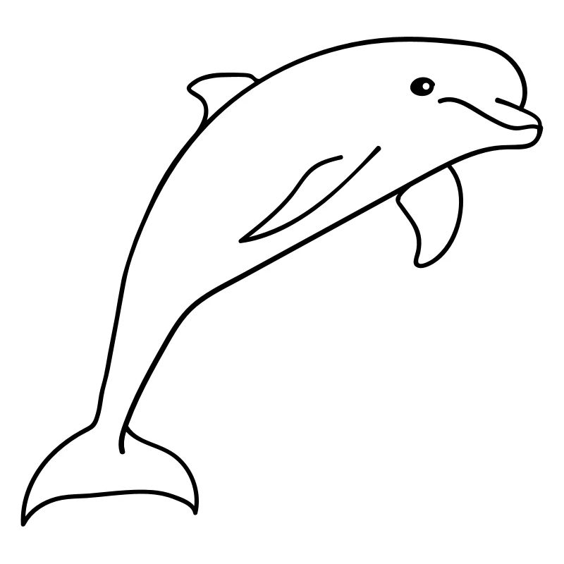 delfin springen süß niedlich