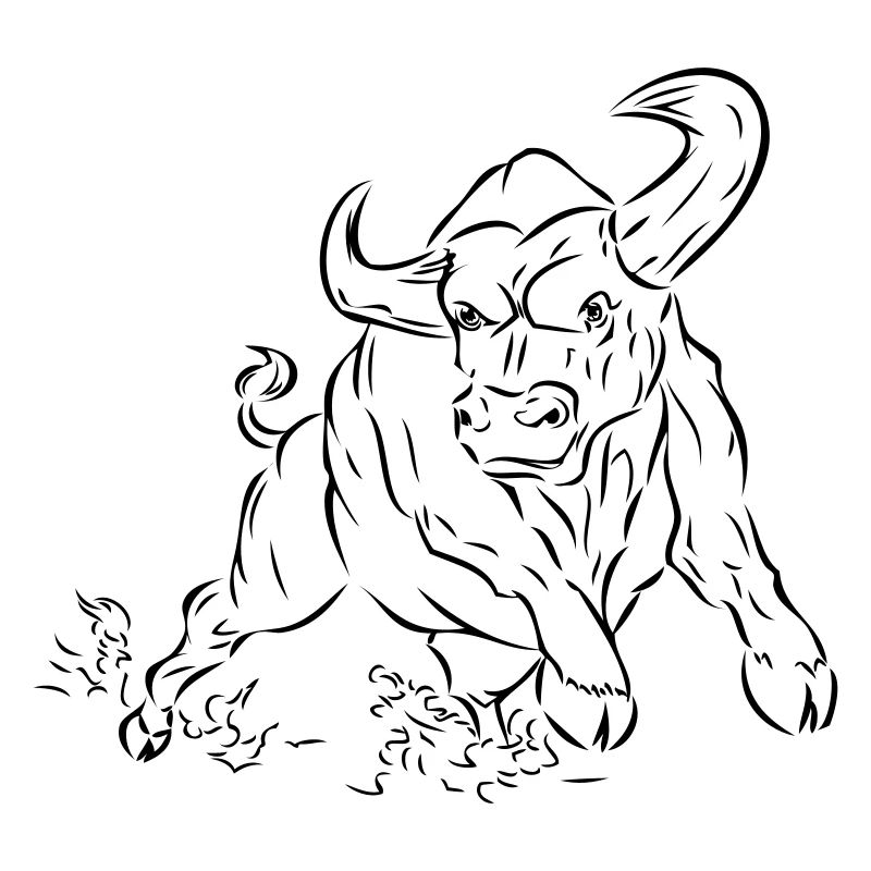 Bull