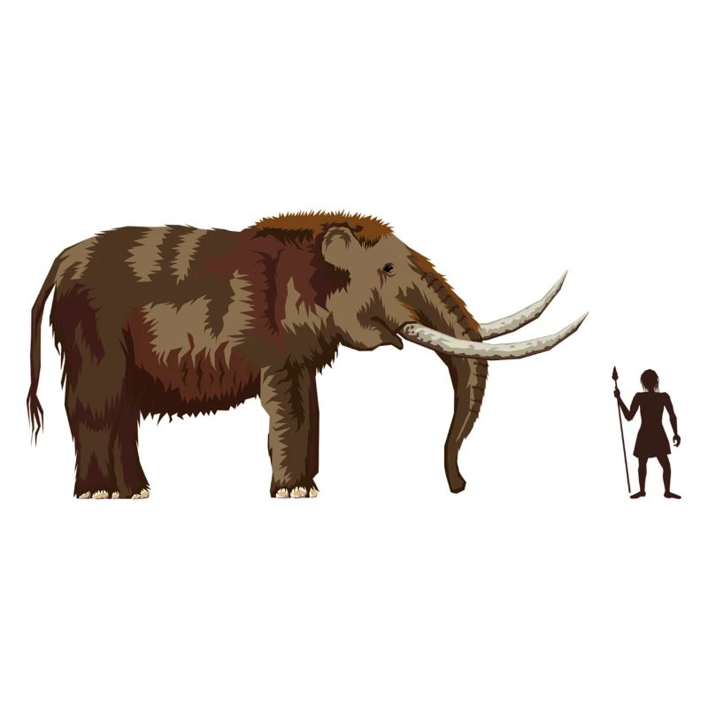 Mammoth and hunter