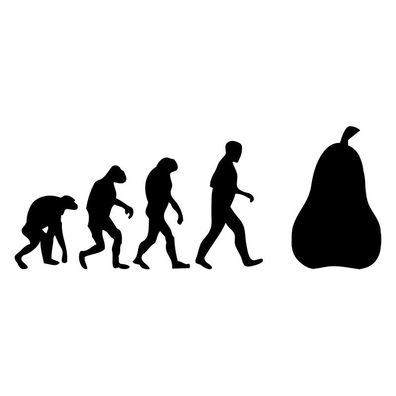 birnen evolution