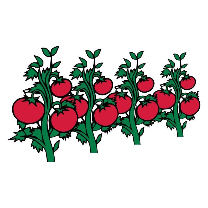 vegetable tomatoes