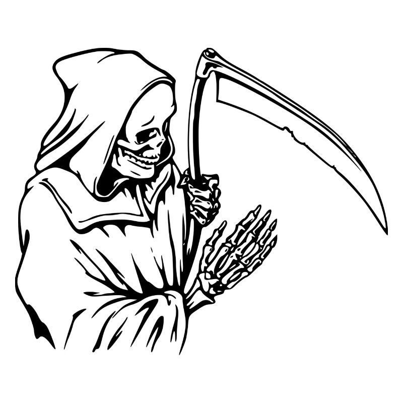 skeleton skeleton bones bones skull schaedel114