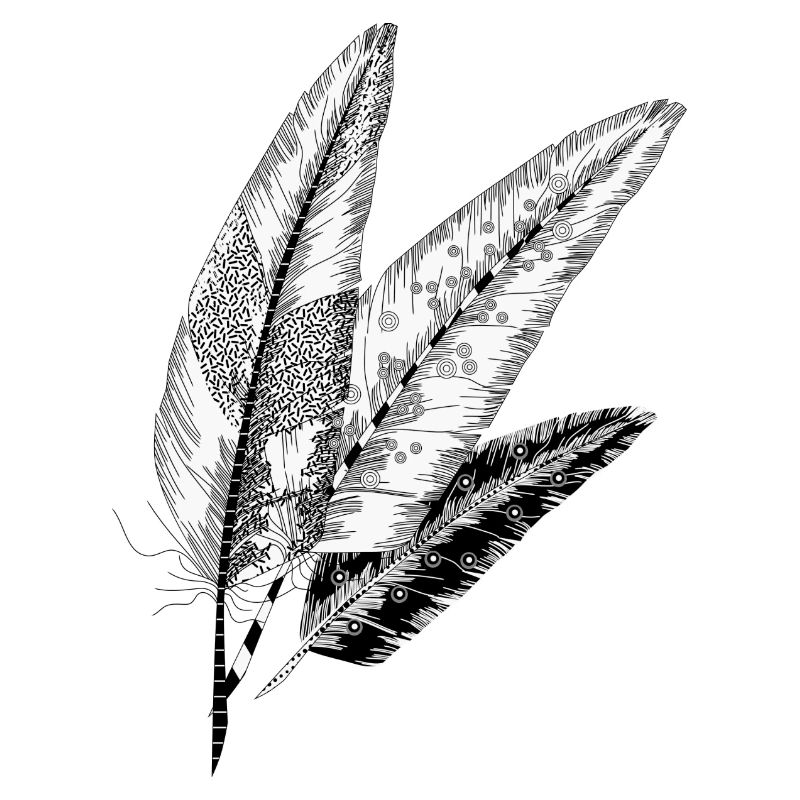 three Feathers
