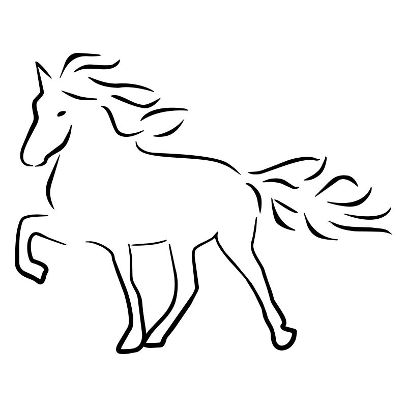 Cheval d’Islande