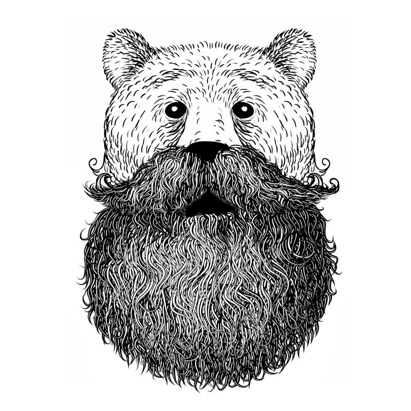 Bear or beard