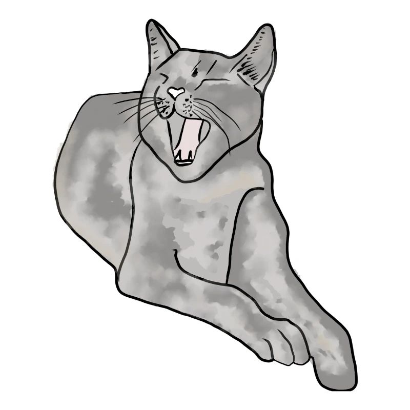 chat