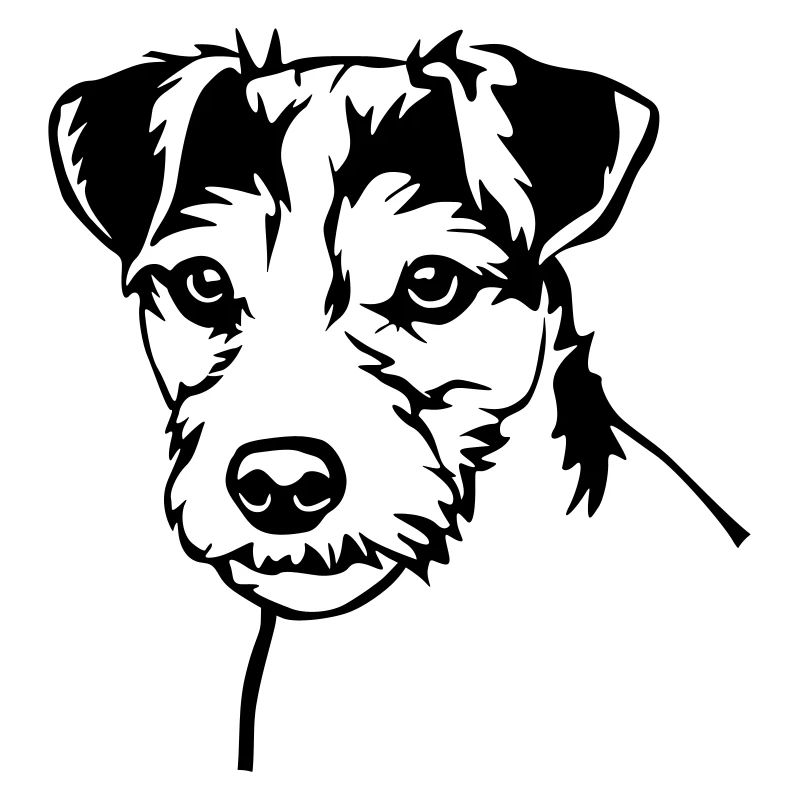 Parson Russell Terrier head