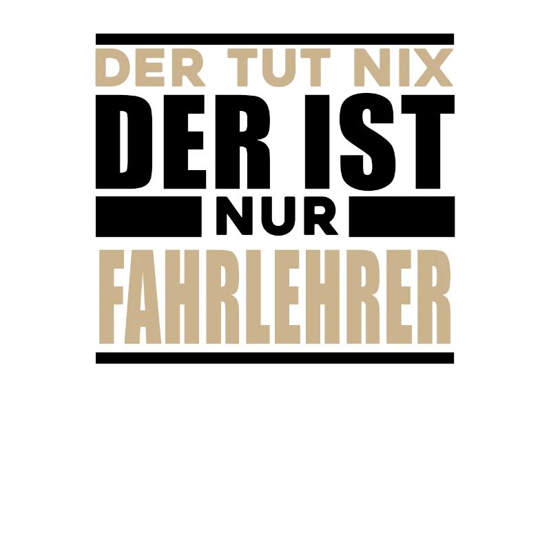 Fahrlehrer