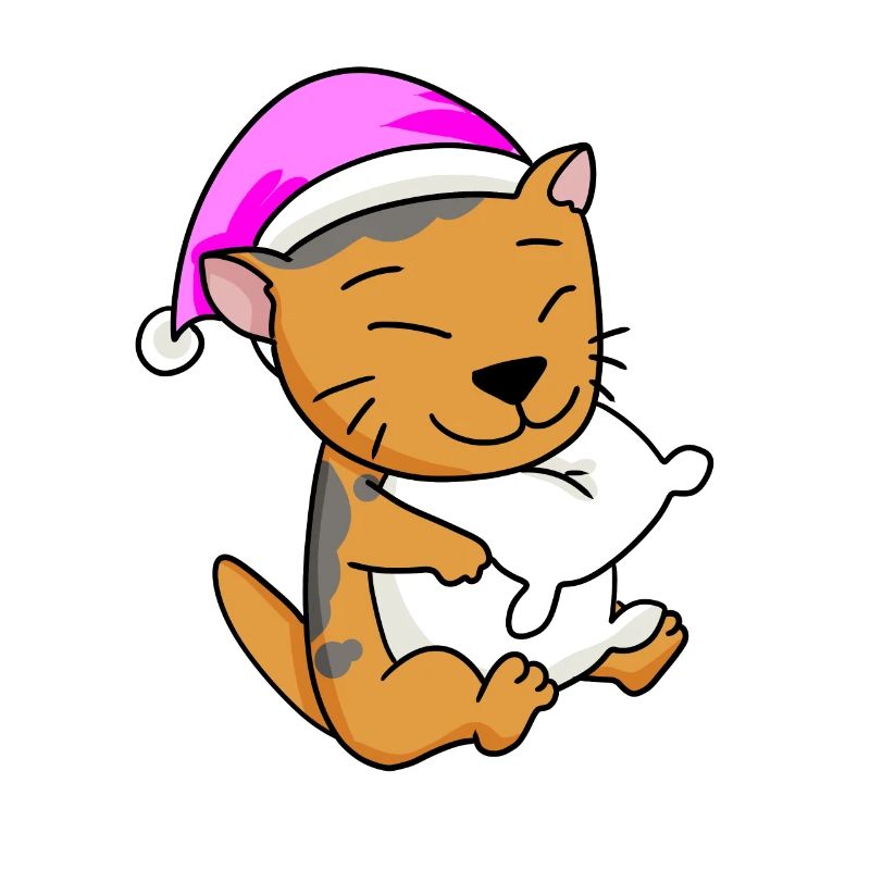 Chat Cat Race Scottish Folding Ear Cat