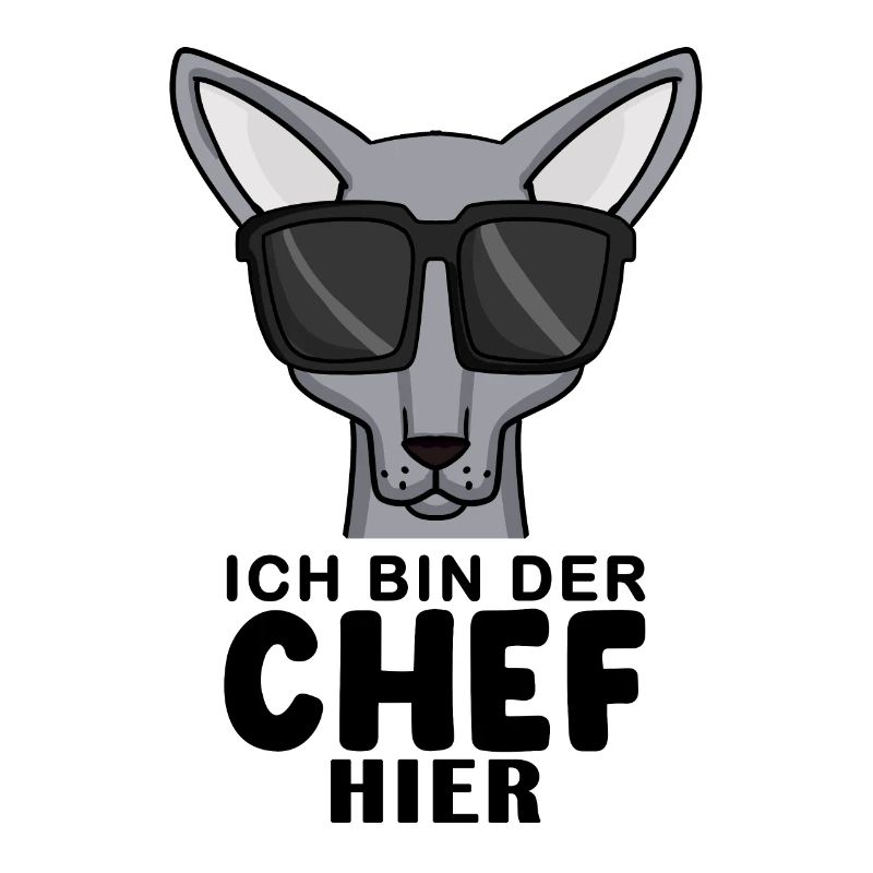 coole Katze - Sphynx Katze Spruch