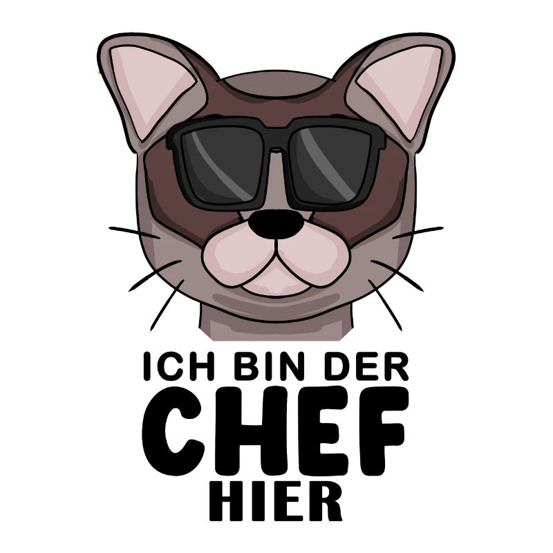 coole Katze - Burma Katze - Chef Spruch